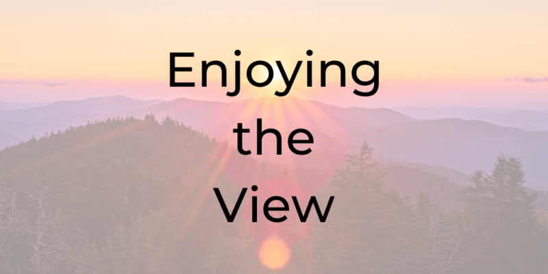 enjoying the view, goal setting, how to set a goal, be a better lawyer, dina cataldo, lawyer coaching, coach for attorneys