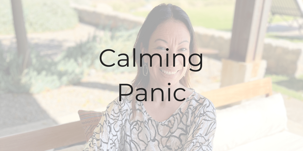 Calming Panic | dinacataldo.com calming panic, Dina Cataldo, Be a Better Lawyer, how to calm panic