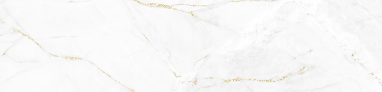 1596px × 386px – Home Page | dinacataldo.com